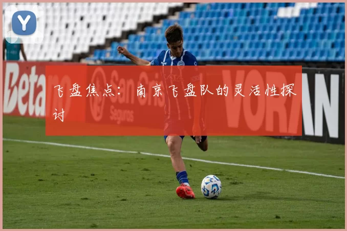 飞盘焦点：南京飞盘队的灵活性探讨