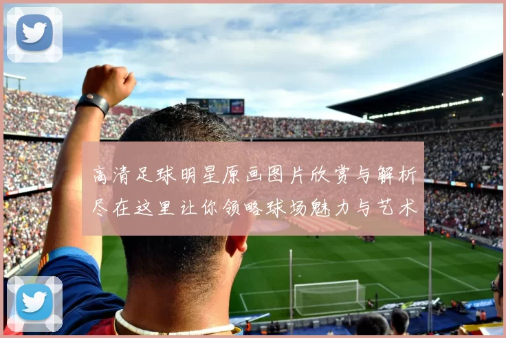 高清足球明星原画图片欣赏与解析尽在这里让你领略球场魅力与艺术之美