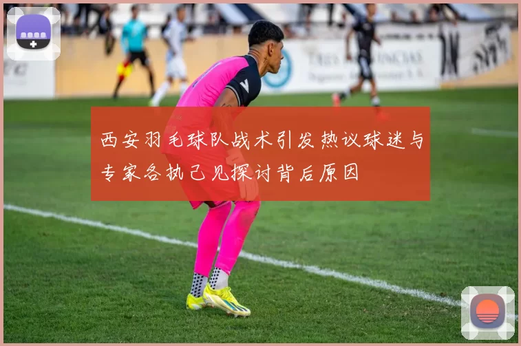 西安羽毛球队战术引发热议球迷与专家各执己见探讨背后原因