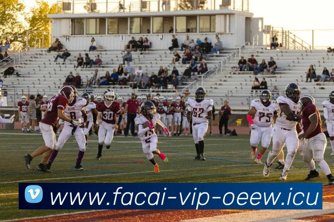 App Interface Preview