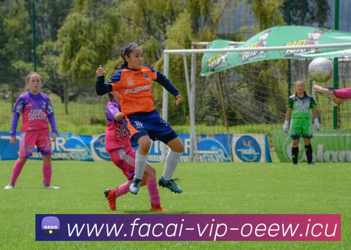 爱游戏体育APP 封面图